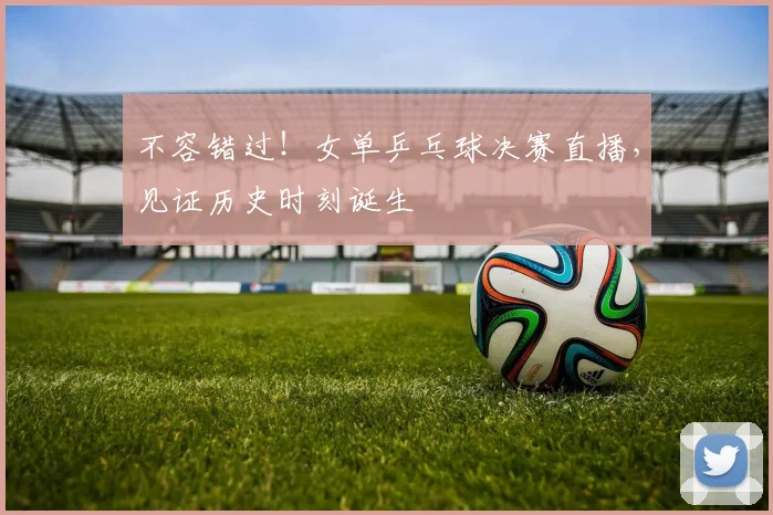 不容错过！女单乒乓球决赛直播，见证历史时刻诞生