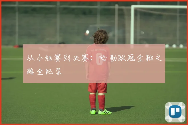从小组赛到决赛：哈勒欧冠金靴之路全纪录