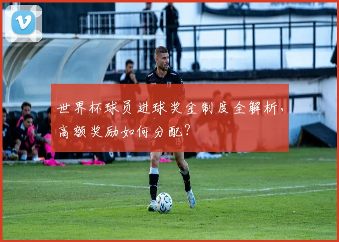 世界杯球员进球奖金制度全解析，高额奖励如何分配？