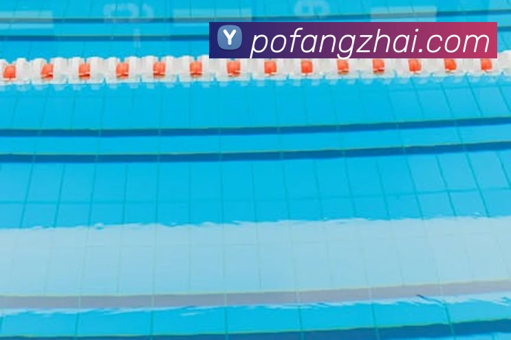 爱体育电子官网首页服务体系